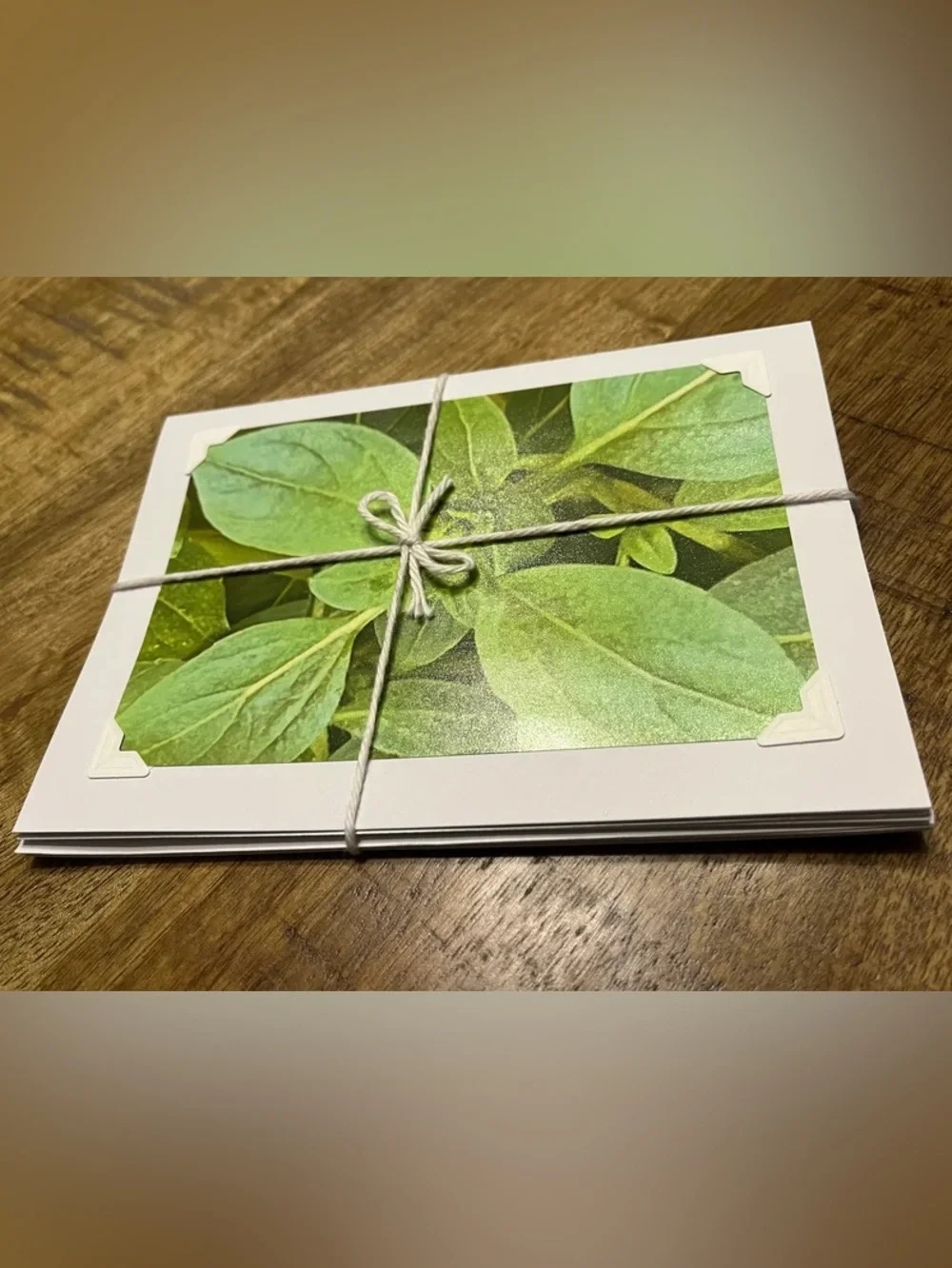 Green Botanical Greeting Cards - Set of 4